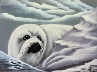 Baby Harp Seal