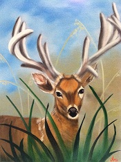 Buck