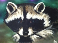 Raccoon