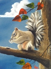 Squirrel